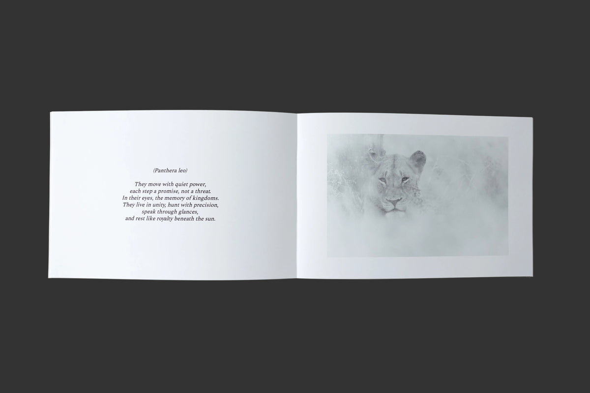 Beyond Color / Hardcover
