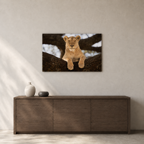 Calm Power / Alu-Dibond Print
