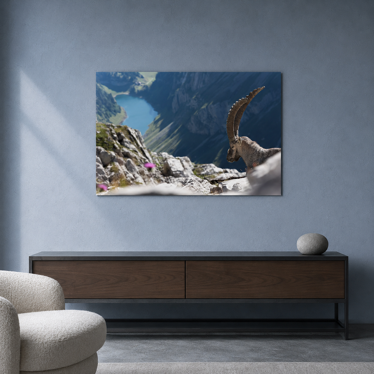 The King of the Alps / Alu-Dibond Print