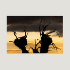 Burning Sky / Alu-Dibond Print