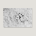 Old Grace / Alu-Dibond Print