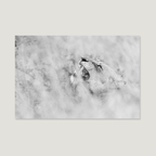 Old Grace / Alu-Dibond Print