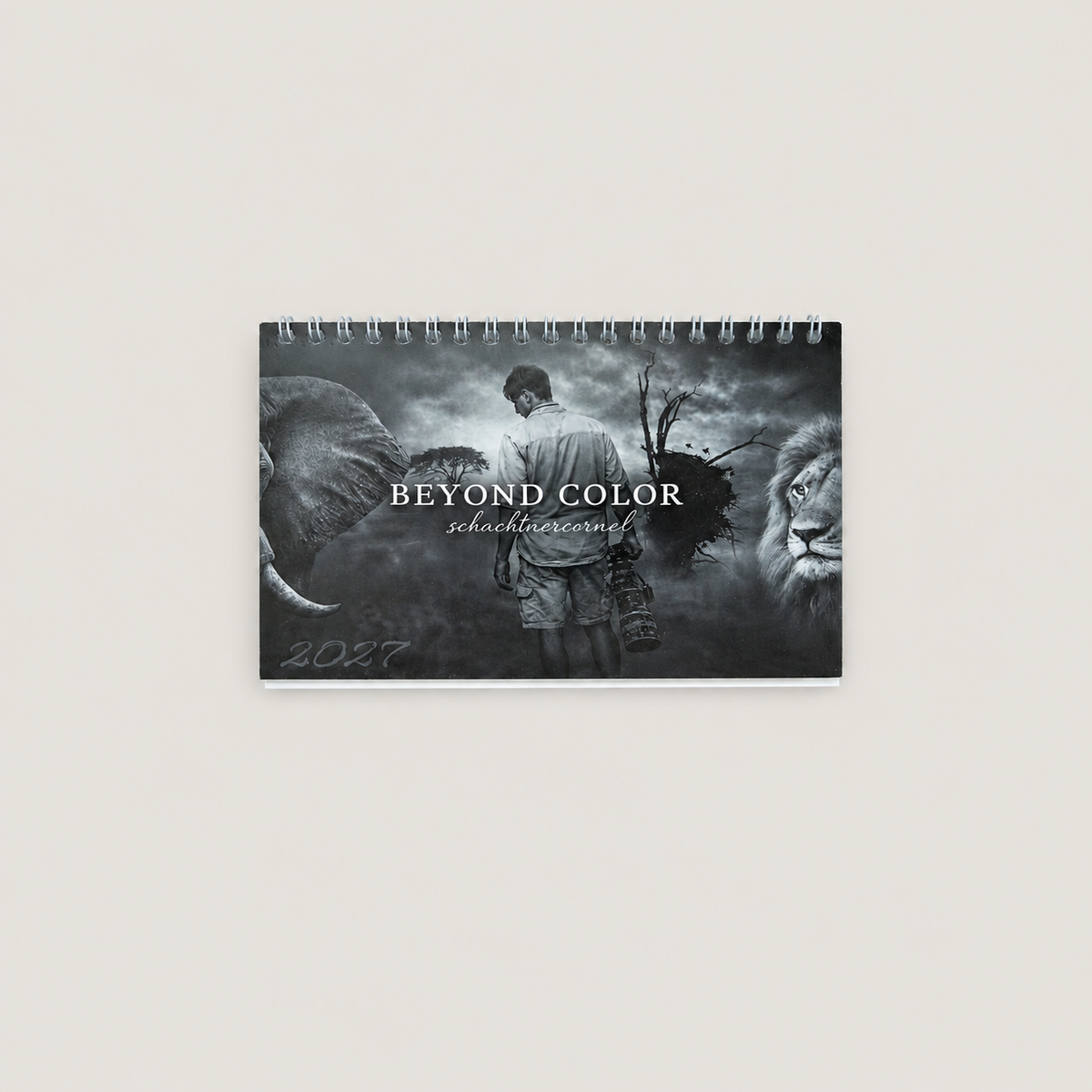 The Beyond Color / Desk Calendar 2027
