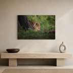 Born of Light / Alu-Dibond Print