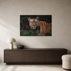The Face of the Jungle / Alu-Dibond Print