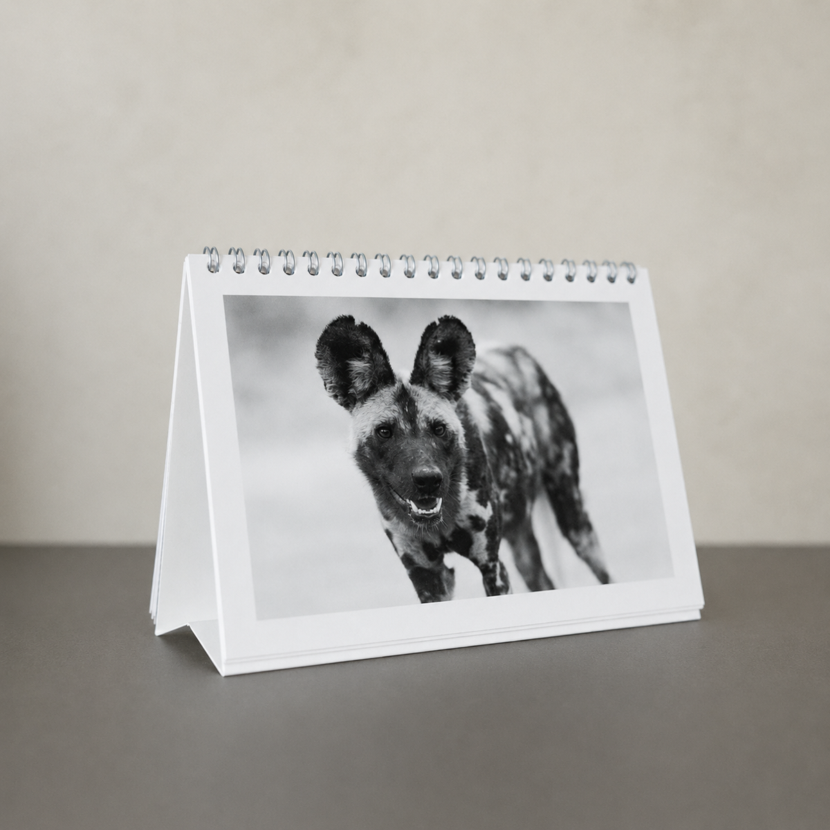 The Beyond Color / Desk Calendar 2027